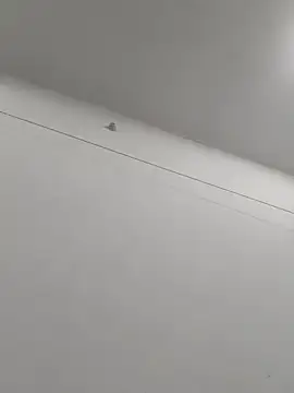Miss_Liara01
