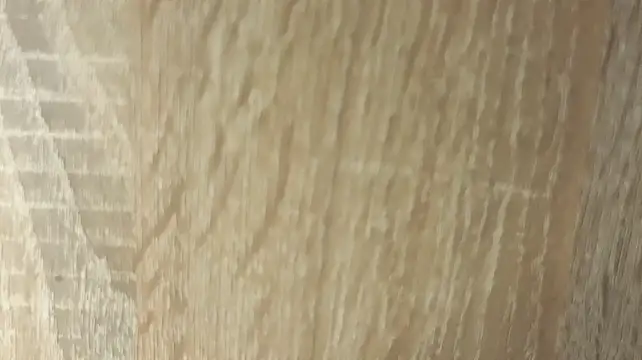 NoFace_Model webcam