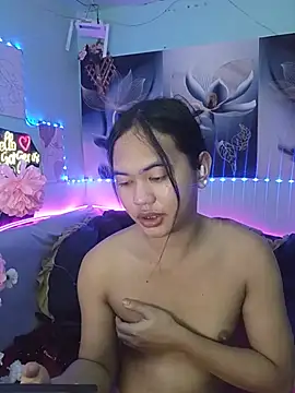 Demilame webcam