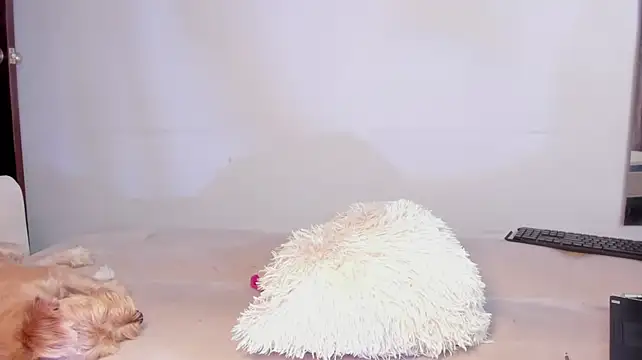 selene_king2 webcam