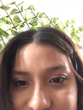 3littles webcam