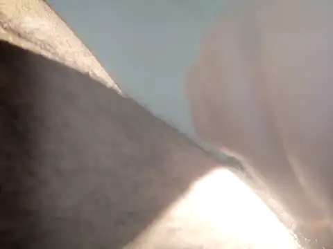Camiin20 webcam