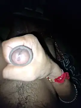 breejs webcam