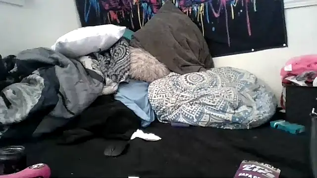 MinnieSnow webcam