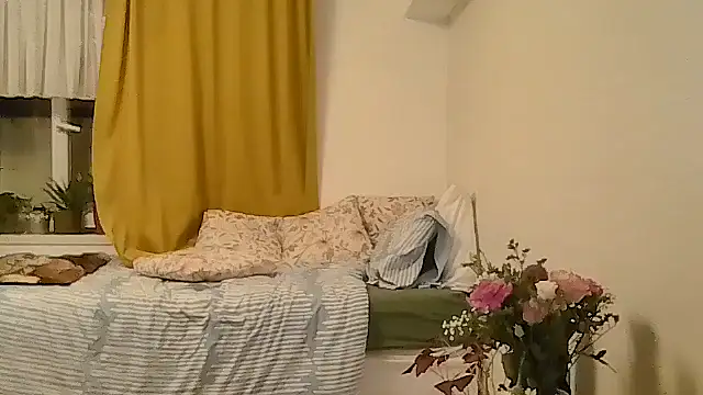 belgianshantie webcam