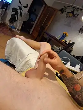 FancySnake webcam