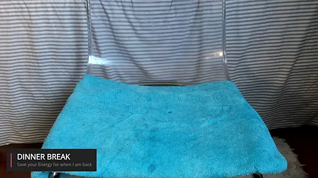 laguber webcam