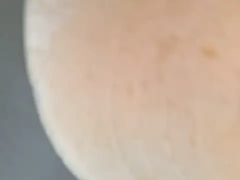 Valentina_Tilly webcam