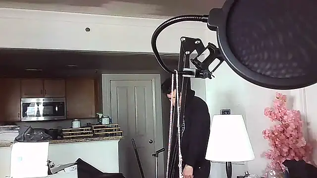 mikey-s-cort webcam