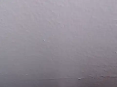 Adriana_0312