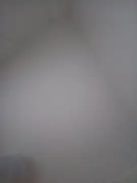 Lidia3590 webcam