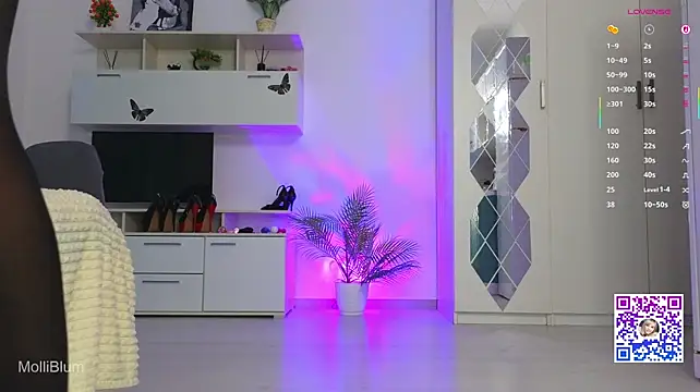 Molliblum webcam