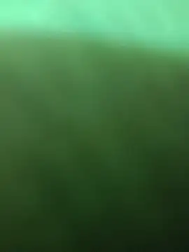 BlackkCrab