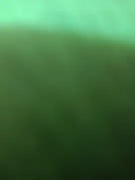 BlackkCrab webcam