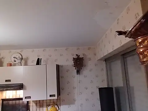 Chnrt webcam