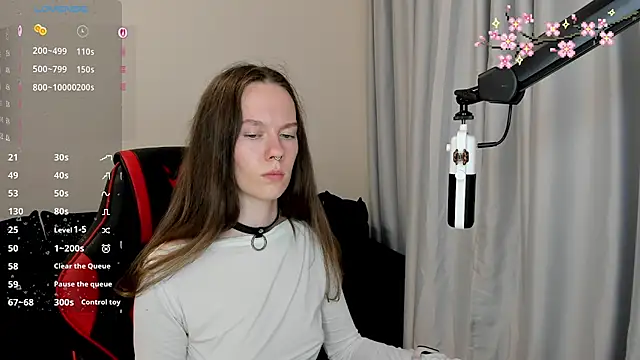 Vulgar_Tamer