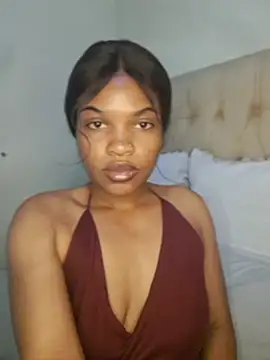 SATHIVA webcam