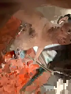 FANJ19 webcam