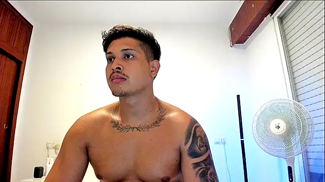 JohanSmith webcam