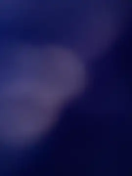 dominantandsubmissiveshow webcam