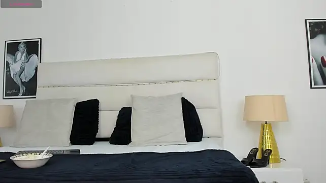 TaylorEvanss webcam
