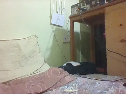 mislover webcam