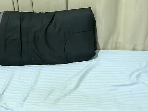 leestyline webcam