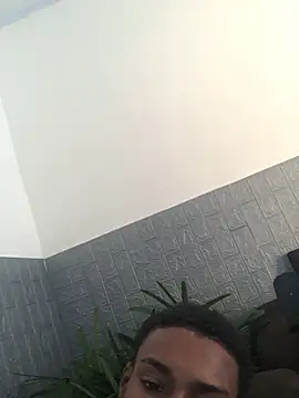 DuquedeDe webcam