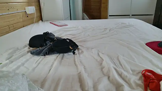wild41 webcam