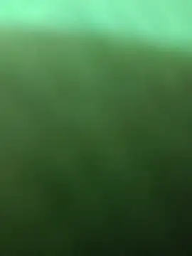 BlackkCrab webcam