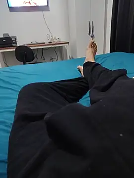 Willdpo webcam
