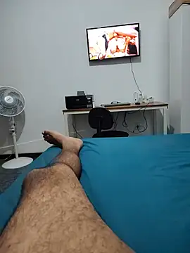 Willdpo webcam