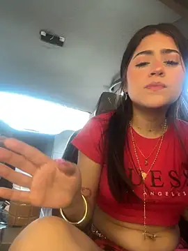 Chanel-fire webcam