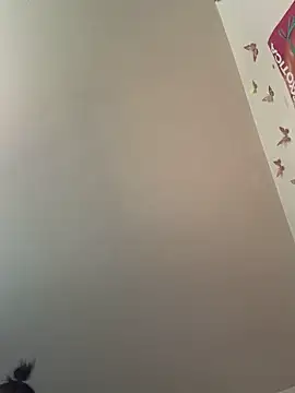 LeBimbo webcam