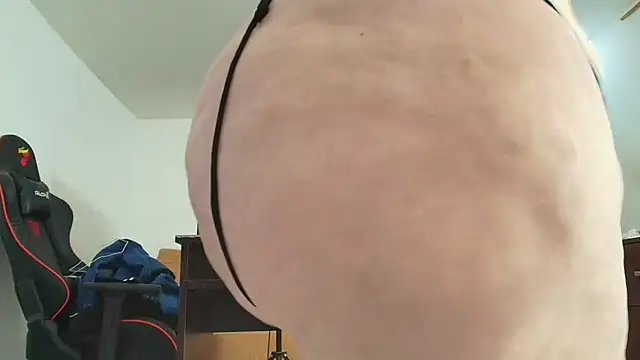dominant_hipss webcam