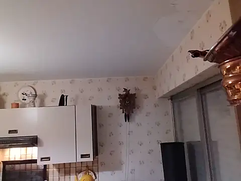 Chnrt webcam