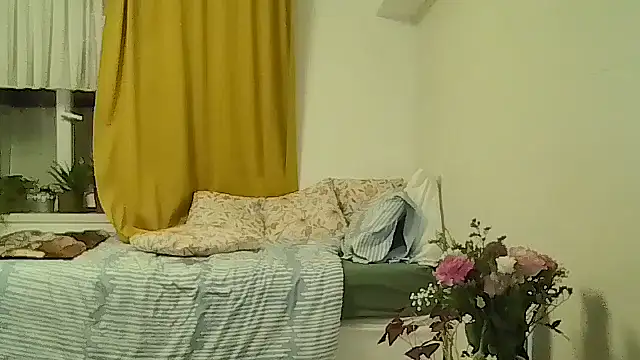 belgianshantie webcam