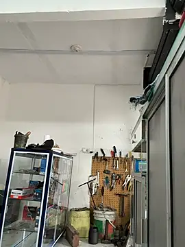 Paul22cm- webcam