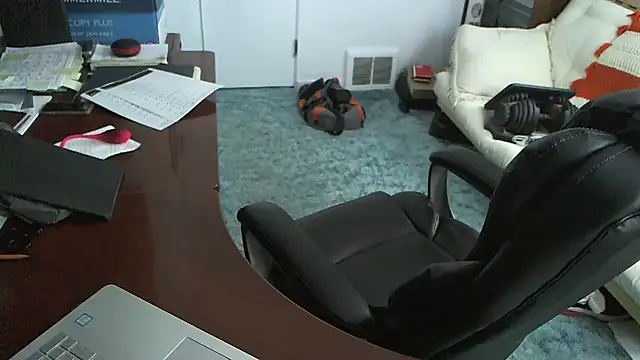 falconcam webcam