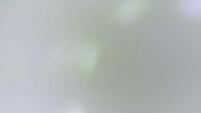 karol_stom webcam