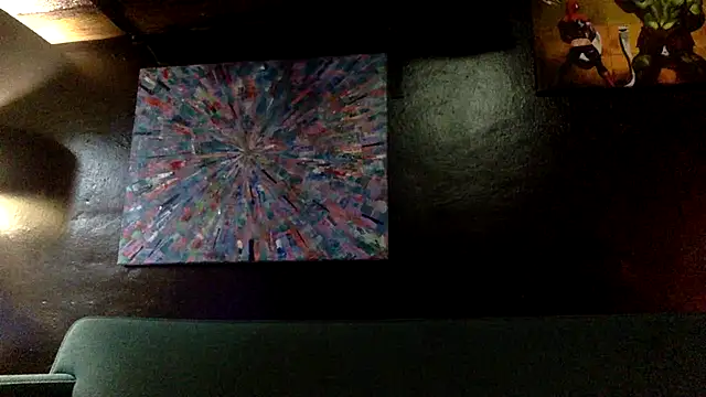 trash4cash webcam