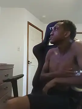 AlphaPremiere webcam