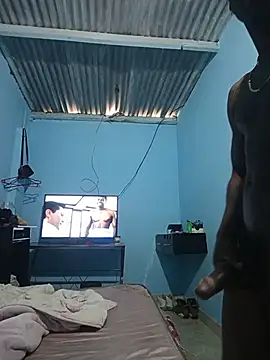 vinjawer webcam