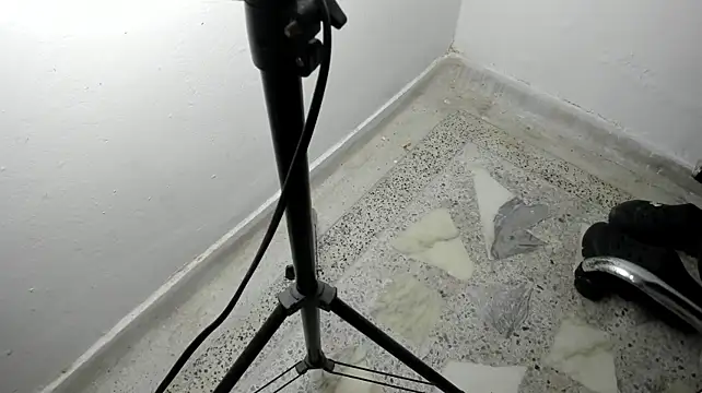 salome_sodi webcam