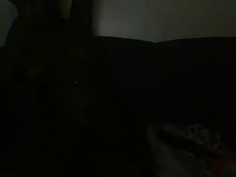 Thickminaji webcam