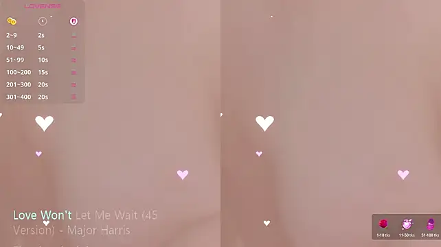 Vaidurya-Yolo webcam
