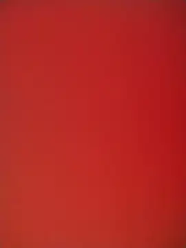 Shantey_Laurent webcam