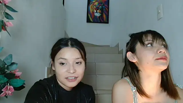 3littles webcam