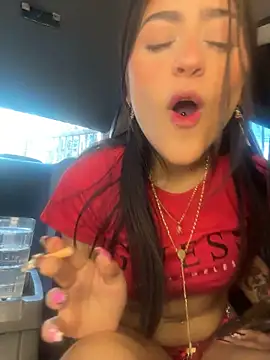 Chanel-fire webcam