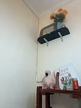 LilaRvsh webcam